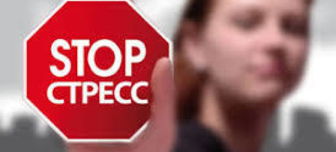 Гиперфункция надпочечников: симптомы и причины, диагностика и лечение, профилактика патологии