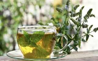 Чай из липы: польза и вред, правила заваривания для всех