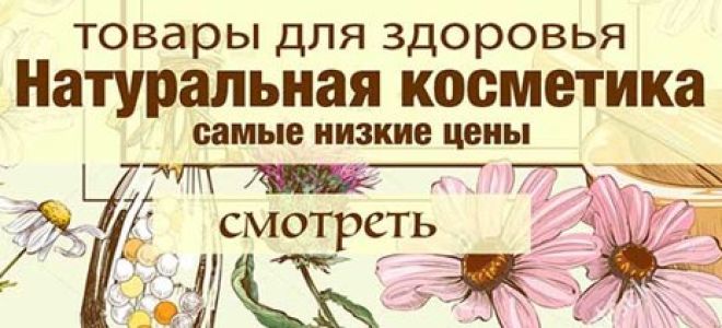 Горячее молоко с медом: польза, рецепты от кашля и бессонницы, правила приготовления и применения
