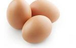 Что же такое куриные яйца — вред или польза