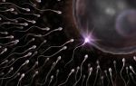 Сперма коричневого цвета — причины, возможные заболевания и их признаки, методы лечения