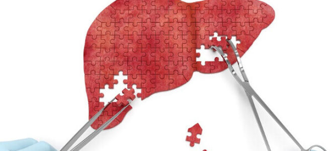 Вирус гепатита c: устойчивость во внешней среде, последствия