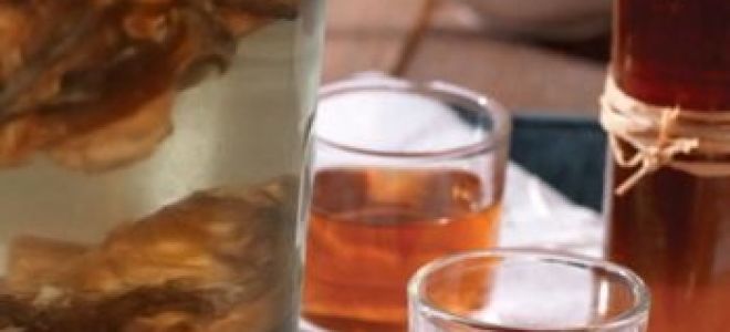 Перегородки грецких орехов: применение как путь к здоровью и процветанию