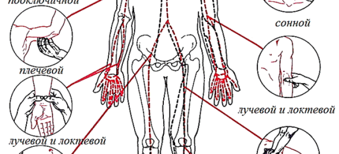 Почему давление низкое, а пульс высокий, как стабилизировать показатели