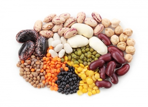 Животный белок: в каких продуктах содержится, чем заменить