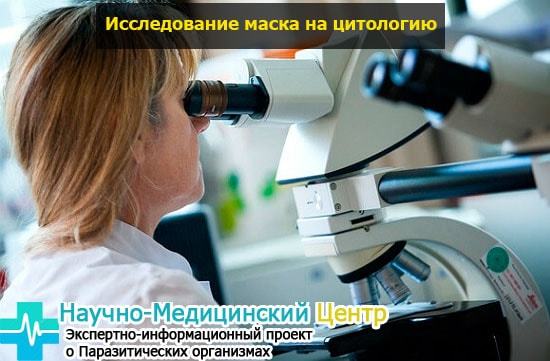 Микроскопия урогенитального мазка, оценка результатов