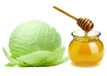 Капустный лист с медом от кашля: польза для здоровья, правила применения, возможные противопоказания
