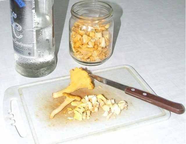 Грибы лисички от глистов: лечебные свойства, особенности приготовления, противопоказания, рецепты