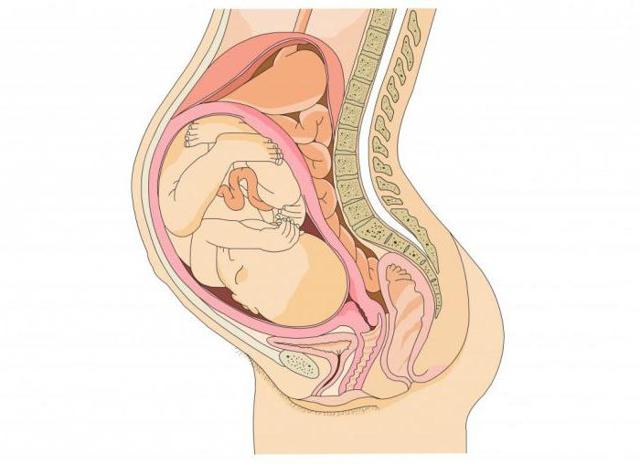 Увеличение шейки матки: причины, стадии и методы лечения