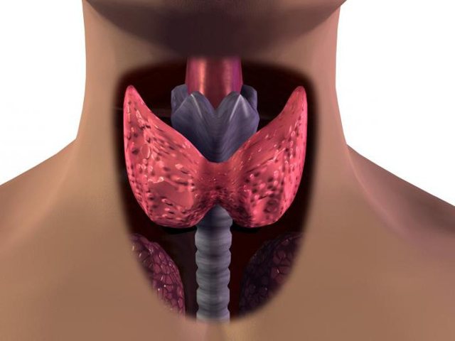 Что делать, если увеличена щитовидка: причины и симптомы