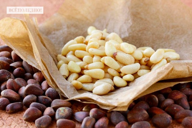 Можно ли беременным кедровые орехи: полезные свойства плодов и кедрового масла, правила употребления
