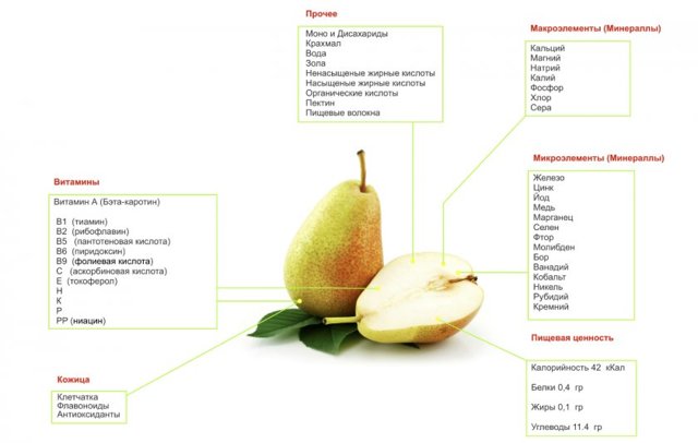 Калорийность груши Конференц: описание и состав фрукта, особенности, недостатки, способ хранения