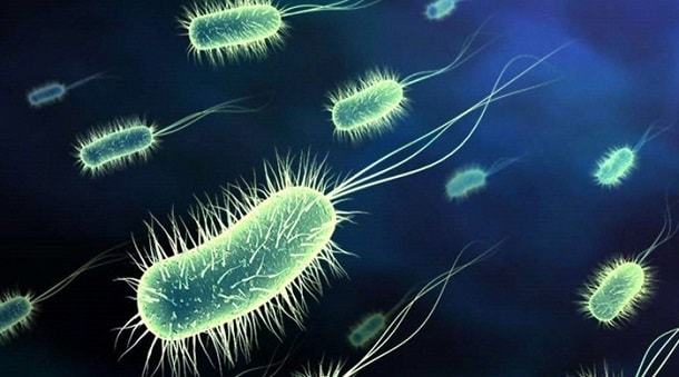 Бактерии в моче при беременности: лечение, причины и признаки заболевания, классификация патологии