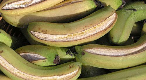 Можно ли есть бананы при поносе: польза фруктов