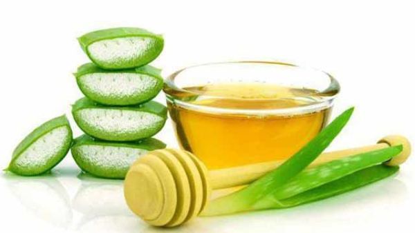 Лечебные свойства алоэ с медом: использование лекарственного средства в народной медицине