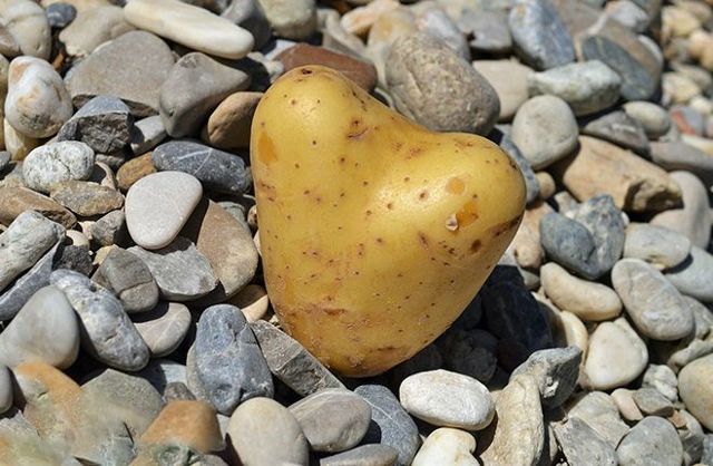 Сколько углеводов в картошке: достоинства, состав, калорийность, целебные свойства и противопоказания