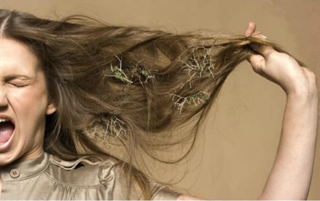 Почему лезут волосы на голове – причины, симптомы, лечение, профилактика выпадения