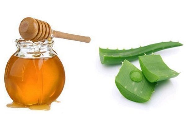 Лечебные свойства алоэ с медом: использование лекарственного средства в народной медицине