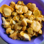 Грибы лисички от глистов: лечебные свойства, особенности приготовления, противопоказания, рецепты