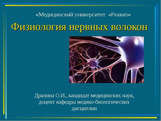 Законы проведения возбуждения по нерву - описание, разновидности волокон, лабильность и парабиоз