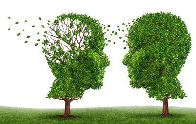Передается ли болезнь Альцгеймера по наследству, каковы ее признаки проявления и причины возникновения