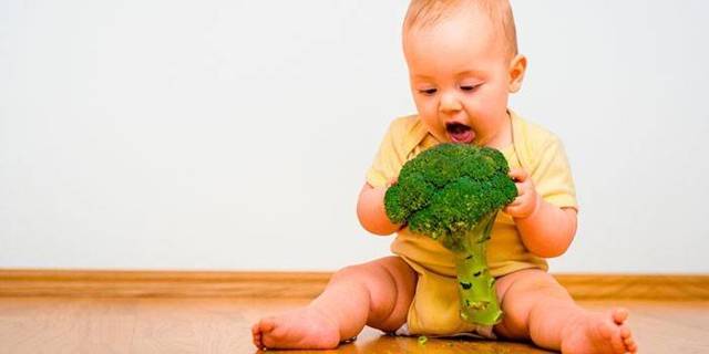 Что приготовить из капусты брокколи: интересные рецепты, полезные свойства продукта, противопоказания