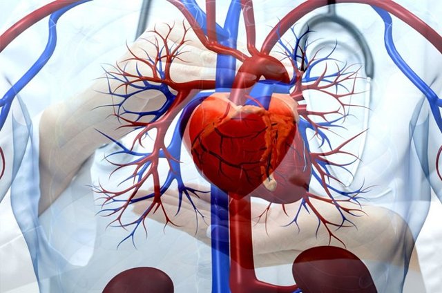 Диффузный кардиосклероз: провоцирующие факторы, виды, клинические проявления, возможные осложнения