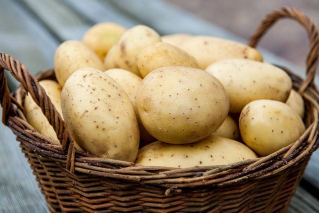 Картошка: полезные свойства и вред, противопоказания и рецепты народной медицины