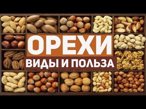 В каких орехах больше всего белка и как их правильно употреблять