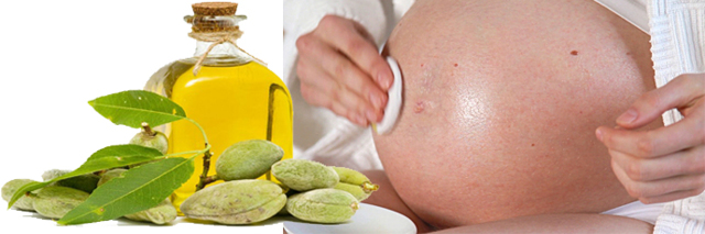Миндальное масло от растяжек при беременности: правила применения, рекомендации и рецепты