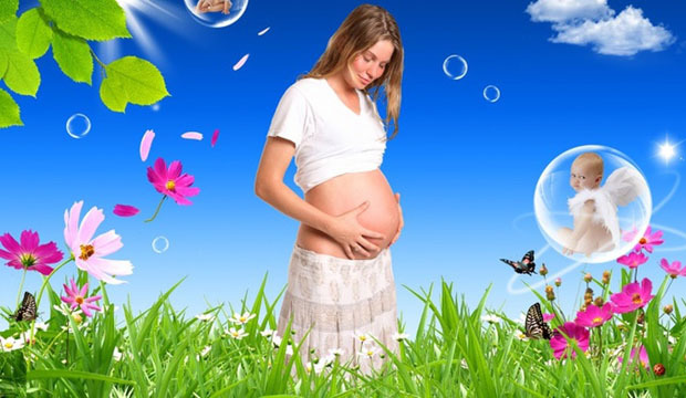 Можно ли прополис беременным, рекомендации, противопоказания