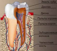 Какие бывают пломбы для зубов: цементные, металлические