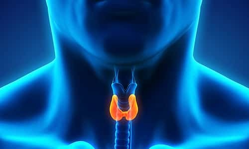 Уменьшение щитовидной железы: причины, симптомы и принципы питания
